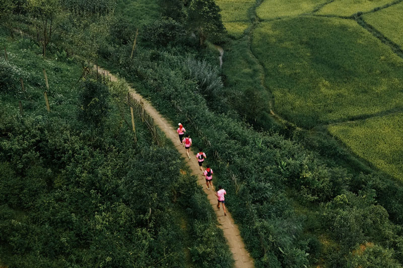 mang den ultra trail 2026 giai chay xuyen qua rung nguyen sinh va van hoa 2